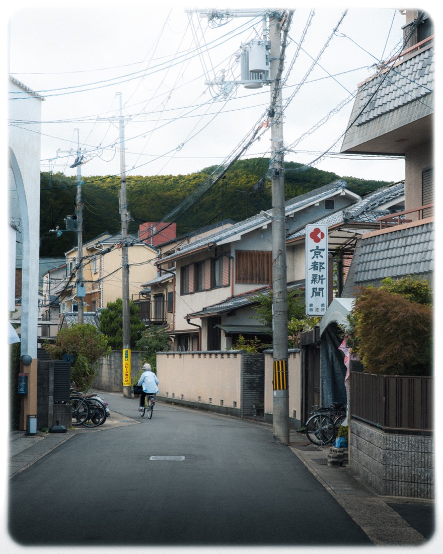 Hillside — a cyclist rides a quiet residential lane beneath a wooded hill.